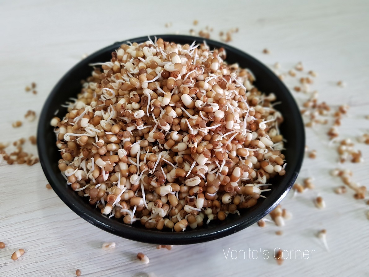 Sprouted Mataki - Dev Tandoor Industries